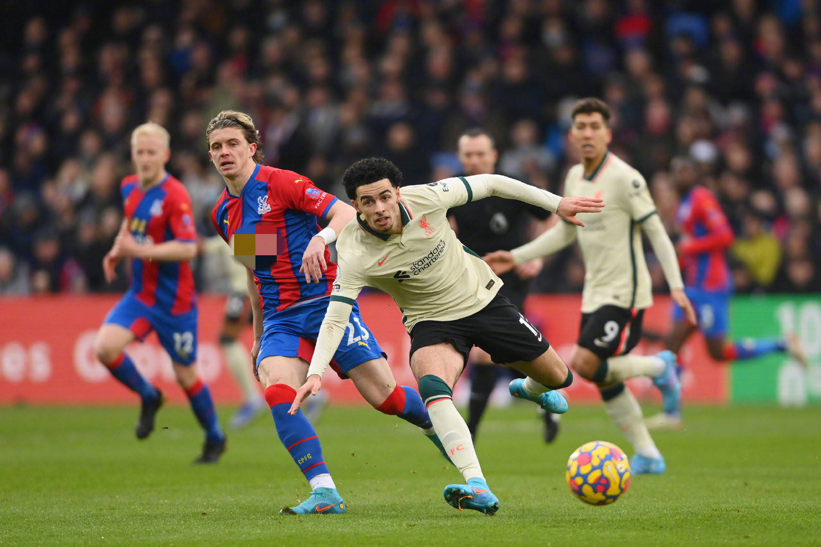 了全明星赛 了全明星赛